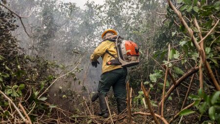 Brigadistas durante o combate aos focos de incêndios