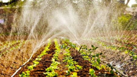 Programa de Residência em Extensão Rural da Agricultura Familiar de Mato Grosso do Sul