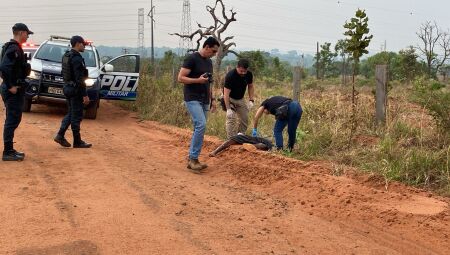 Homem desovado em estrada vicinal foi morto há pouco tempo, afirma delegado