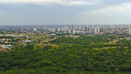 Campo Grande realiza a 5ª Conferência Municipal do Meio Ambiente em dezembro