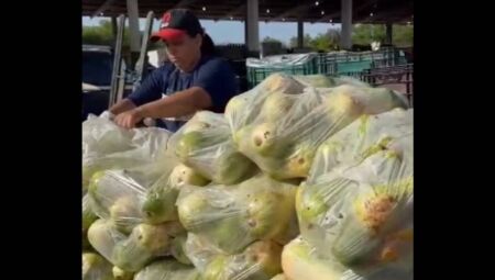 Doação de alimentos ajudam famílias de crianças atípicas em Campo Grande