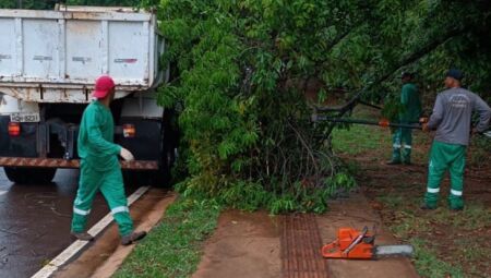 Parque dos Poderes recebe manutenção pensando no bem-estar e na segurança