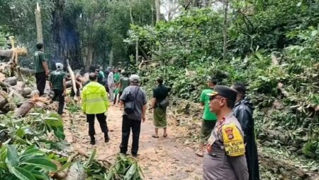 As vítimas estavam visitando o parque quando o incidente aconteceu