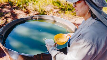 Não deixe água parada