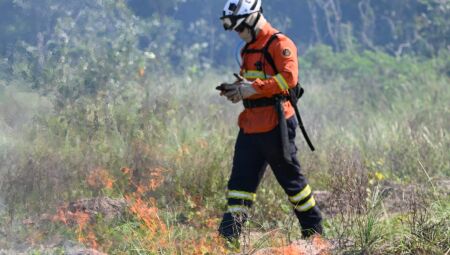 O esforço para preservar a área de proteção ambiental teve início no domingo (6) e segue até a próxima semana