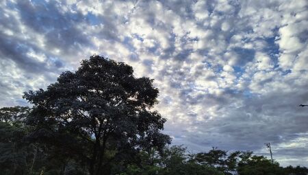 Céu de Campo Grande amanheceu nublado
