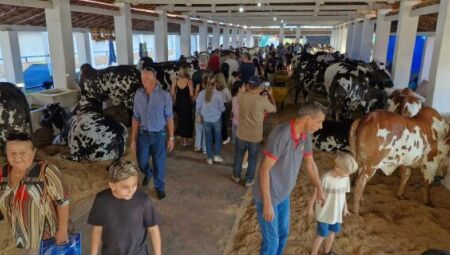 Com cerca de 250 expositores, a 85ª Expogrande encerrou no domingo (13).