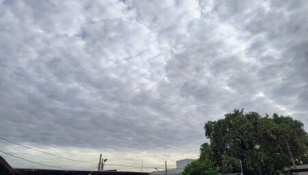 Tempo amanheceu nublado em Campo Grande