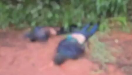 Homens são encontrados mortos na fronteira