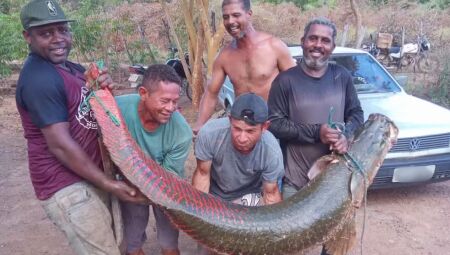 Peixe gigante foi pescado no Rio São Francisco, no interior da Bahia
