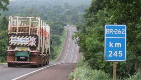 BR-262, km 245, entre Campo Grande e Ribas do Rio Pardo 