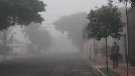 Foto: MS Notícias