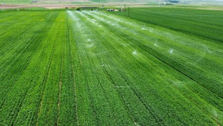 Política Nacional de Irrigação tem se consolidado como instrumento que fortalece a infraestrutura agrícola no país 