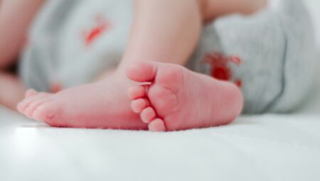 Foto: Hanna Pedroza/Unsplash