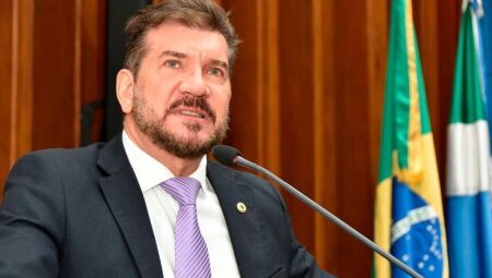 Deputada Estadual Pedro Kemp