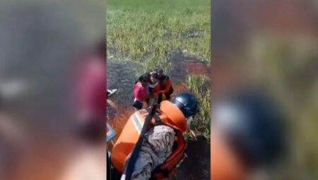 Cinco pessoas são resgatadas em pântano de jacarés após queda de avião na Bolívia