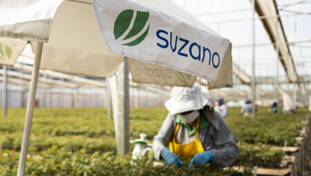 Suzano oferta vagas em Brasilândia, Ribas do Rio Pardo e Três Lagoas