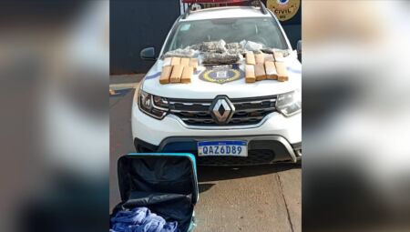 Drogas apreendidas na rodoviária