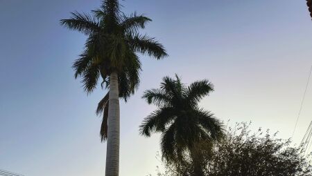 Tempo amanheceu bem gelado em Campo Grande