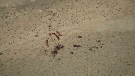 Sangue ficou pela rua | Imagem ilustrativa