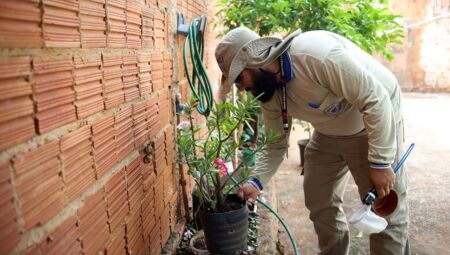 Dengue segue em alta em MS