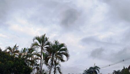 Tempo amanheceu nublado e at&eacute; rolou chuva na madrugada em Campo Grande