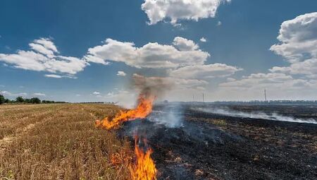 Foto: iStock