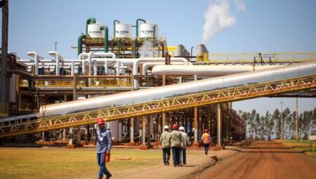 Entre janeiro e outubro, Mato Grosso do Sul exportou US$ 9,08 bilhões