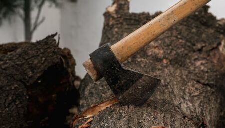 Ele foi socorrido pelo Corpo de Bombeiros, sendo encaminhado a Corumbá de barco pelo Rio Paraguai