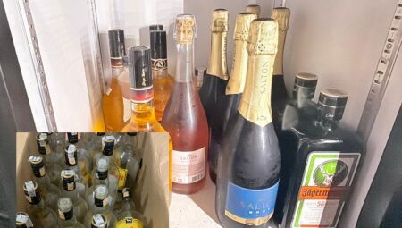 Foto: Divulgação | Polícia Civil