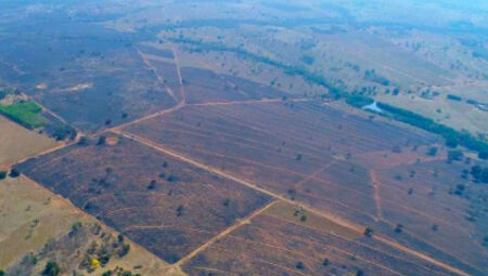 Parte da área devastada - 