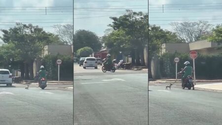 Cena causou revolta nos populares