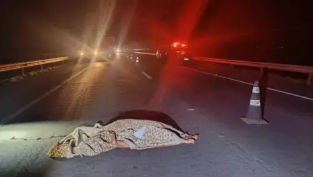 Corpo da vítima fatal na rodovia - 
