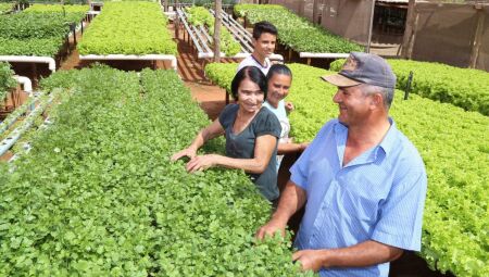 Capital lança "AgroIntegra CG" para fortalecer agricultura familiar e alimentação escolar 