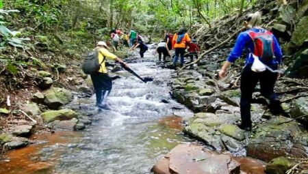 Projeto de Lei propõe incentivo a trilhas e rotas ecológicas no Estado