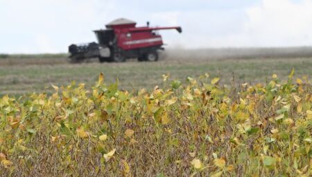 Mato Grosso do Sul dá largada à safra de soja 25/26 com previsão de recorde na produção
