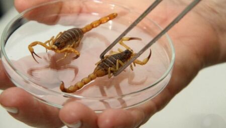 Nos últimos cinco anos, o Estado registrou um crescimento contínuo nas notificações