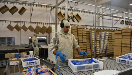 Foto; Observatório Fiems