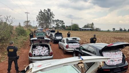 Foto: Divulgação/DOF