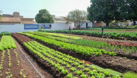 Desde 2022, o FAC já distribuiu 73.116 kits de alimentos