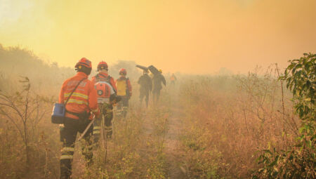 Foto: Airton Benites/PMC