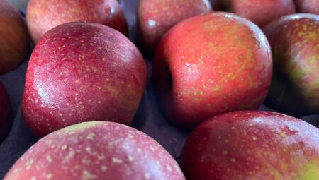 A maçã nacional também recuou cerca de 6%,