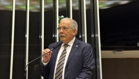 Deputado federal, Luiz Ovando