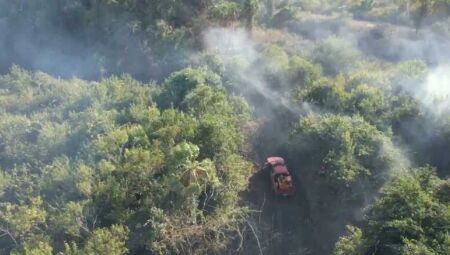 Queimadas em Mato Grosso do Sul caem mais de 90% no Pantanal