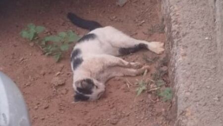 Foto: Rádio Caçula