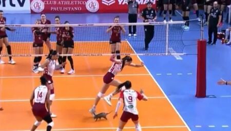 Reprodução/SportTV