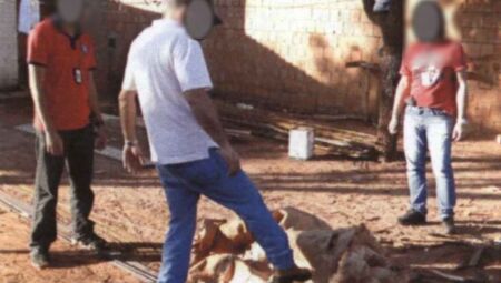 Investigação em 2011 - 