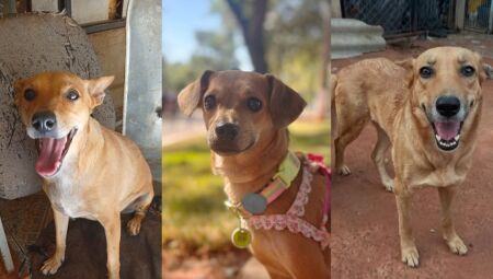 Os caramelos se tornaram ícone do país