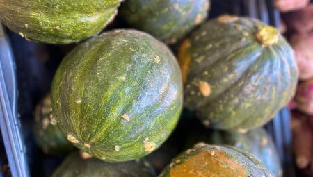 Abóbora liderou a queda nos preços