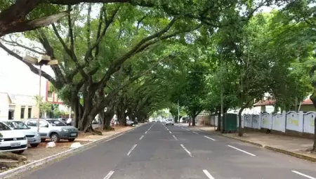 Quadrilátero abrange Avenida Mato Grosso